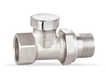 Straight backwater valve